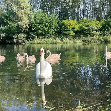 Ferienhaus Ravaszlak *
