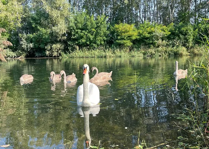 Ferienhaus Ravaszlak *